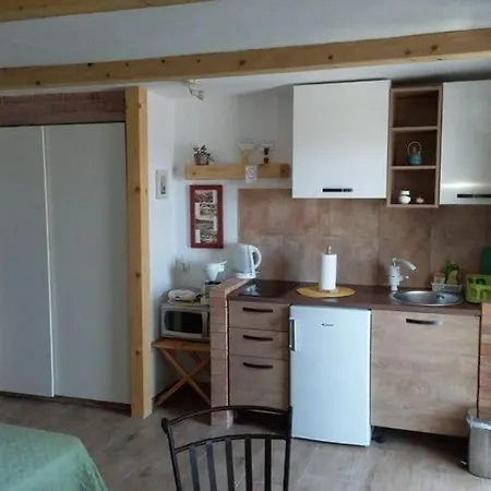 Mir - With Garden View Apartment Dubrovnik