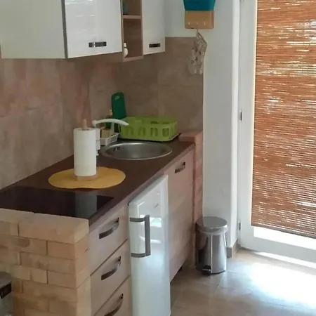 Mir - With Garden View Apartmán Dubrovník